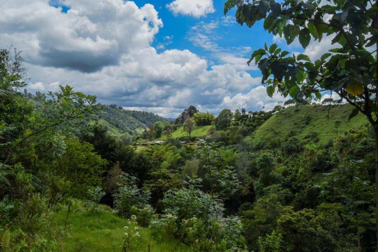 סאלנטו Hostal Rural La Montana Alquiyapura מראה חיצוני תמונה