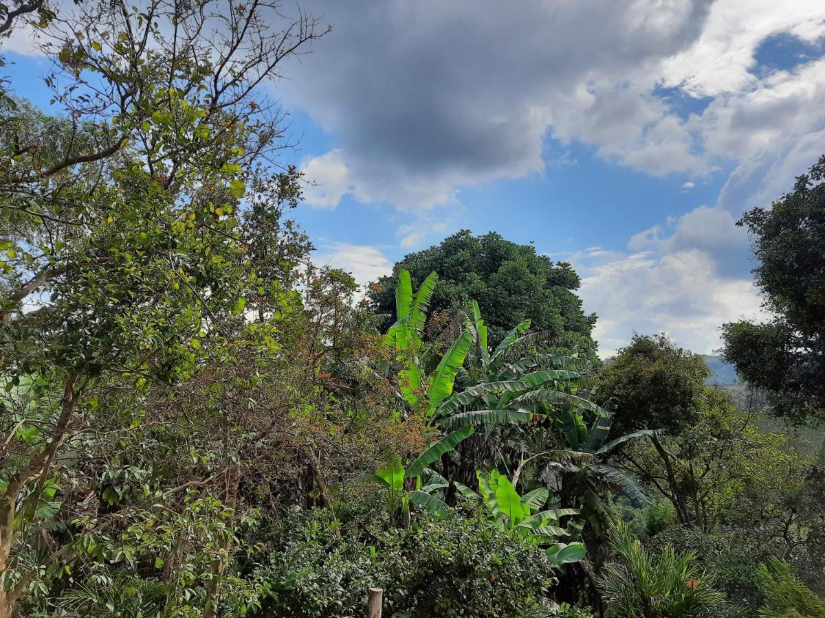 סאלנטו Hostal Rural La Montana Alquiyapura מראה חיצוני תמונה